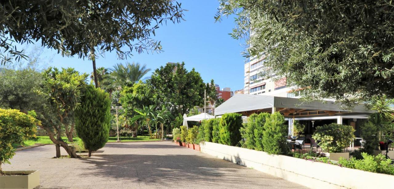 Penthouse Cervantes Sea View Benidorm Exteriér fotografie